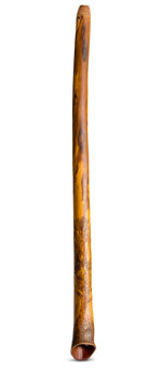 Heartland Didgeridoo (HD452)